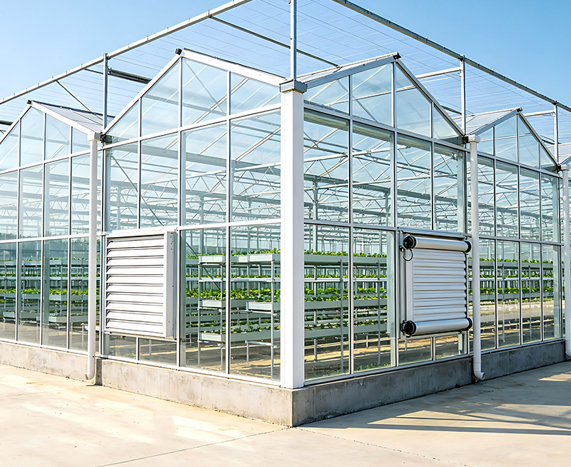 Steel Structure Vegetable Greenhouse