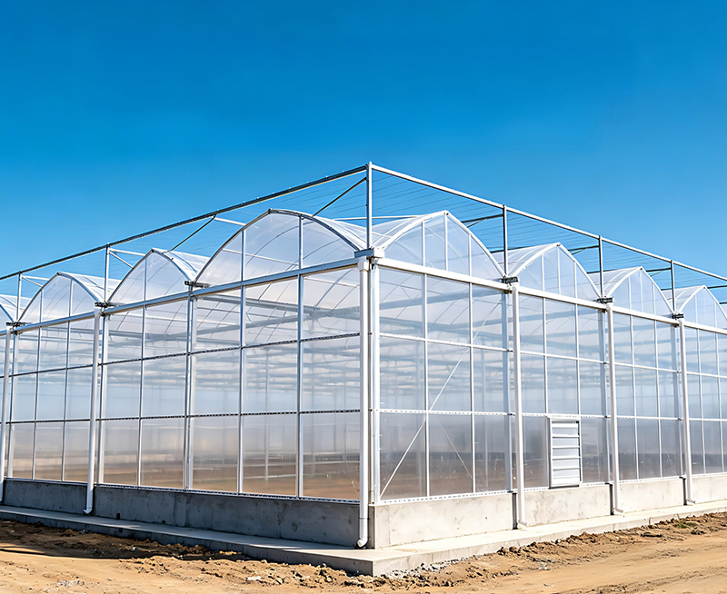 Steel Structure Vegetable Greenhouse