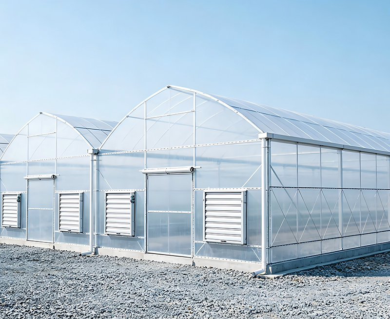 Steel Structure Vegetable Greenhouse