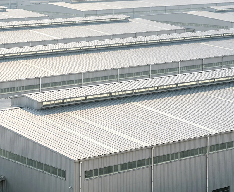 Multi - Span Steel Structure Industrial Workshop Building