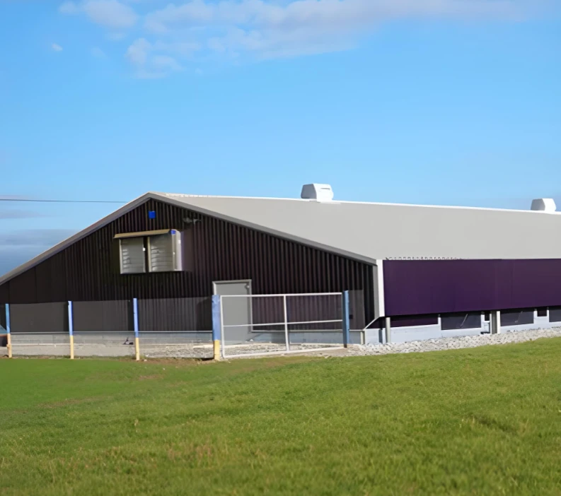 Empowering Africa&rsquo;s Future: Locally Adapted, Durable Steel Structure Building Solutions