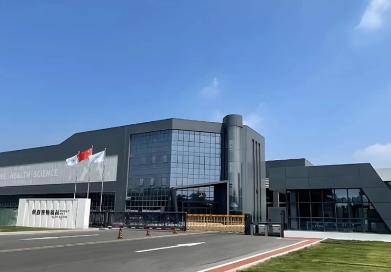 Core Tube vs Frame-Core Tube Systems in High-Rise Steel Buildings